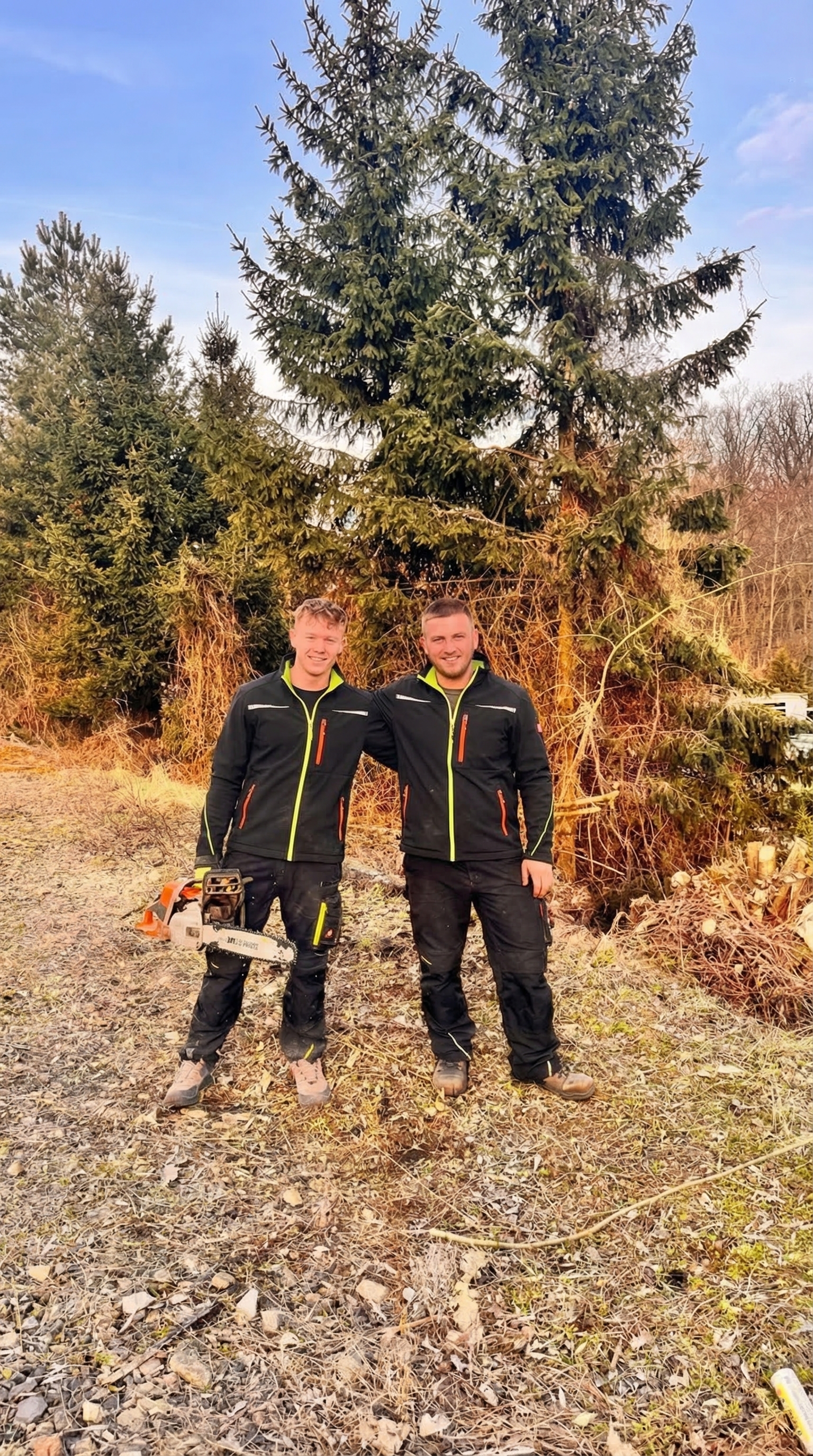 Ukázka práce – údržba zeleně